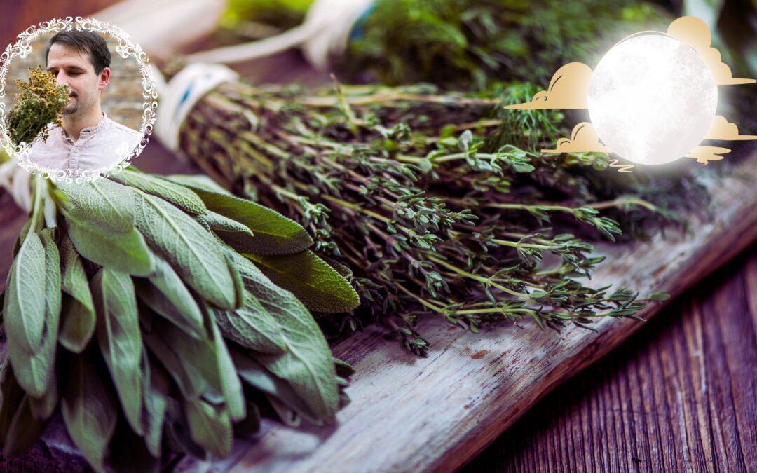 Herbal workshop: Badstue rituály